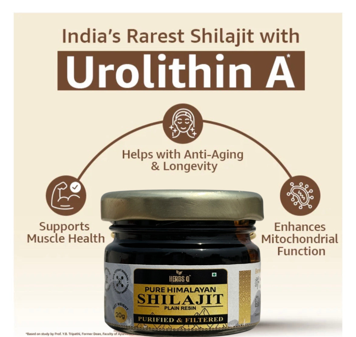 Herbs Q | Pure Himalayan Shilajit Resin